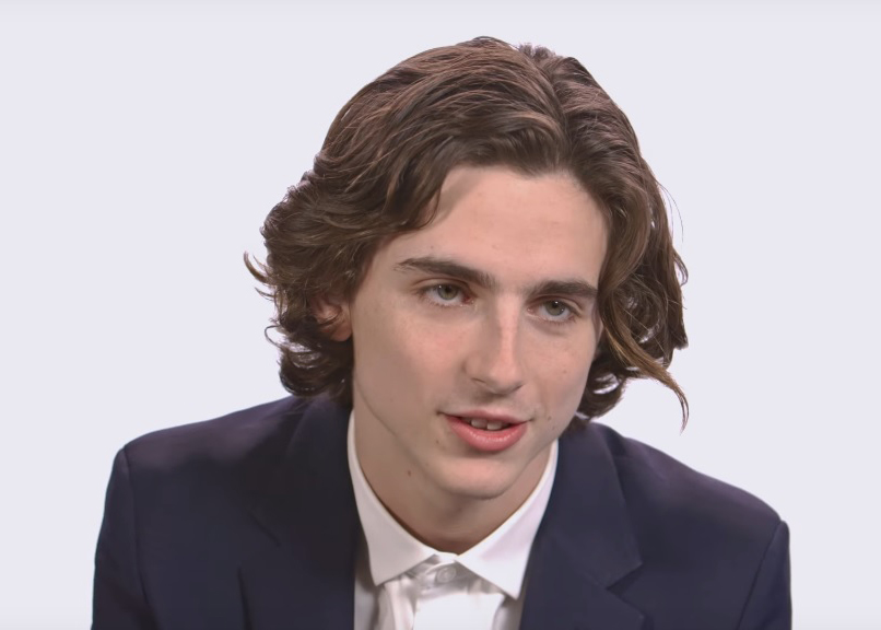 Timothee Chalamet Age, Height, Weight, Parents, Sister, Wiki & Net Worth